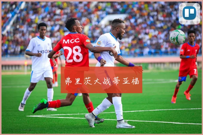 弗里茨大战蒂亚福