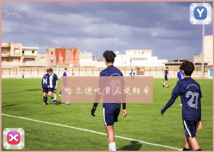 哈兰德吃货人设赔率