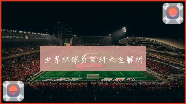 世界杯球员百科大全解析